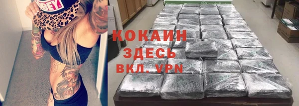 PSILOCYBIN Абаза