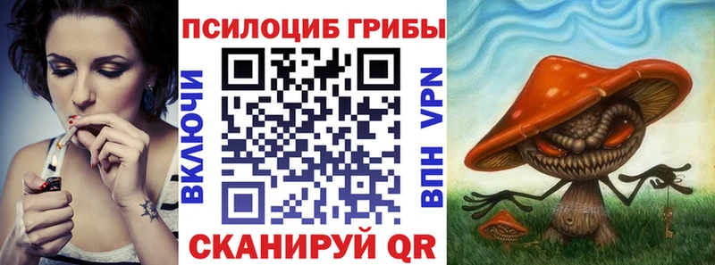 ОМГ ОМГ онион  Устюжна  Псилоцибиновые грибы мицелий  закладки 